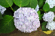 image0276