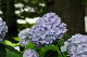 image0277