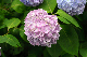 image0278