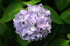 image0279