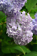 image0280