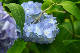 image0281