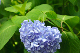 image0282