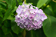 image0283