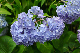 image0284