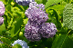 image0285
