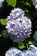 image0287