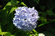 image0288
