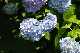 image0289