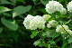 image0290