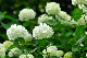 image0291