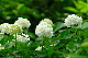image0292
