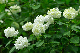 image0293