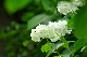 image0294