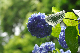 image0295
