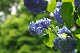 image0296