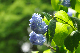 image0297