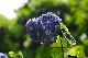 image0298