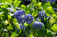 image0300