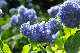image0301