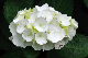 image0302