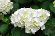 image0303