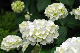 image0304