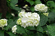 image0305