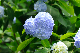 image0307