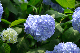 image0308