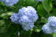 image0309