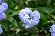 image0311