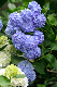 image0312