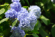 image0313