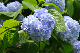 image0314