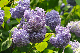 image0315