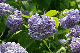image0316
