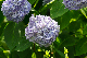 image0317