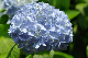 image0318