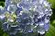 image0319