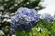 image0320