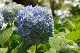 image0321