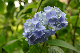 image0322