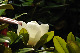 image0324