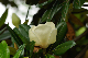 image0325