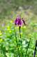 image0326