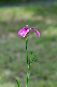 image0327