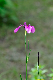 image0328