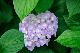 image0330