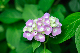 image0331